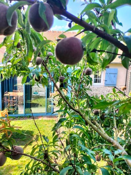 Charmante Maisonnette En Pierre Ecardenville-sur-Eure ภายนอก รูปภาพ